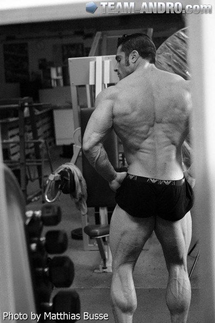 2013 Bodybuilding Images