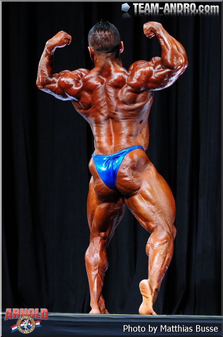 2013 Bodybuilding Images