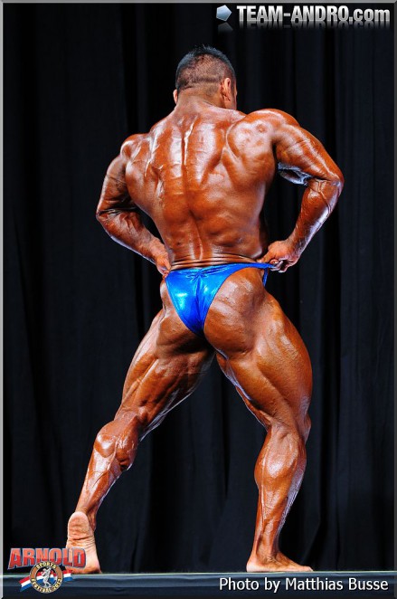 2013 Bodybuilding Images