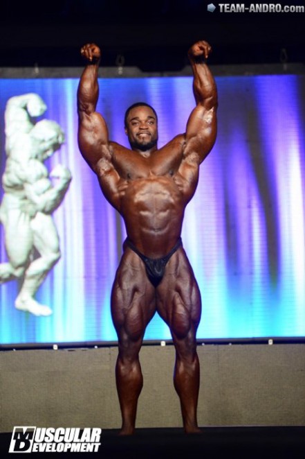 2013 Bodybuilding Images