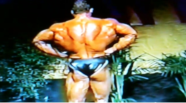 2013 Bodybuilding Images