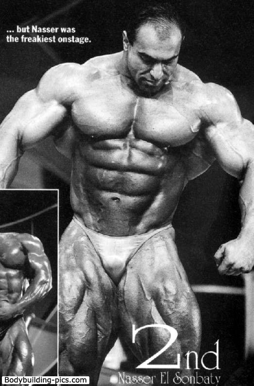 2013 Bodybuilding Images