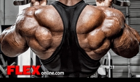 2013 Bodybuilding Images