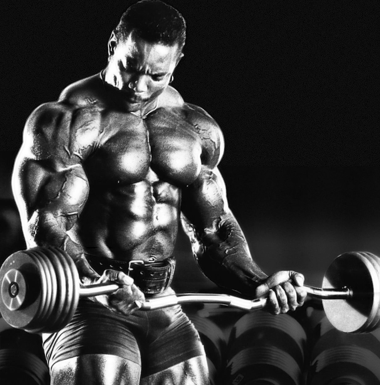 2013 Bodybuilding Images