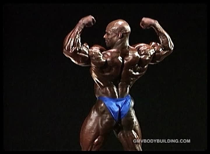 2013 Bodybuilding Images