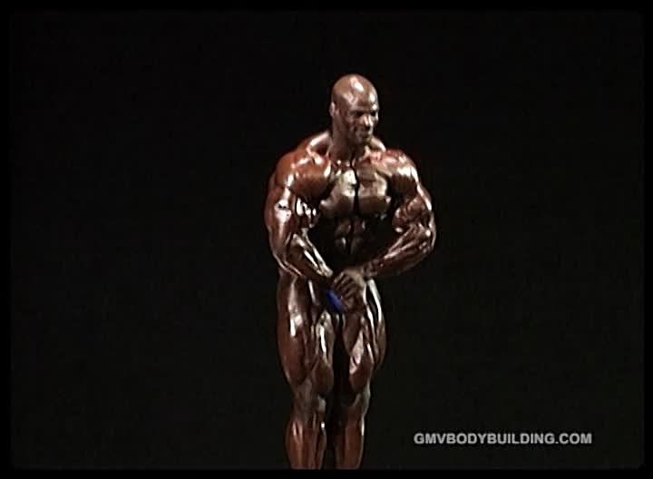 2013 Bodybuilding Images