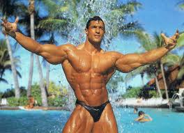 2013 Bodybuilding Images