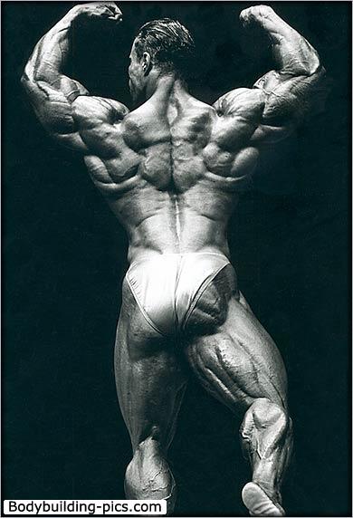 2013 Bodybuilding Images