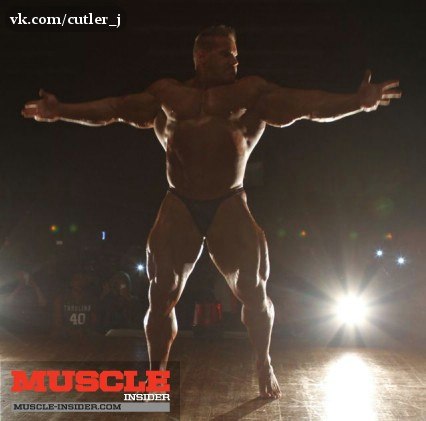 2013 Bodybuilding Images