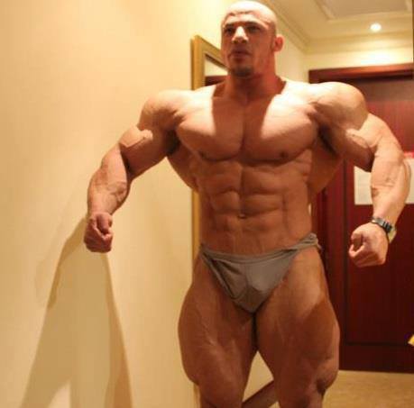 2013 Bodybuilding Images