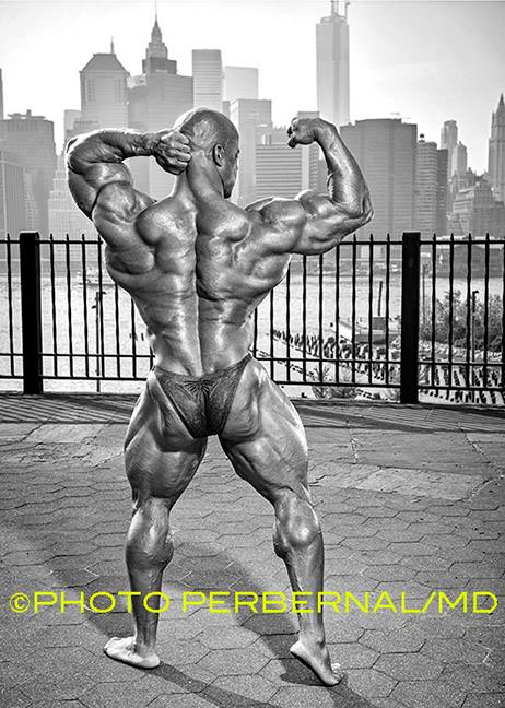 2013 Bodybuilding Images