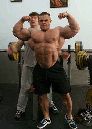 2013 Bodybuilding Images