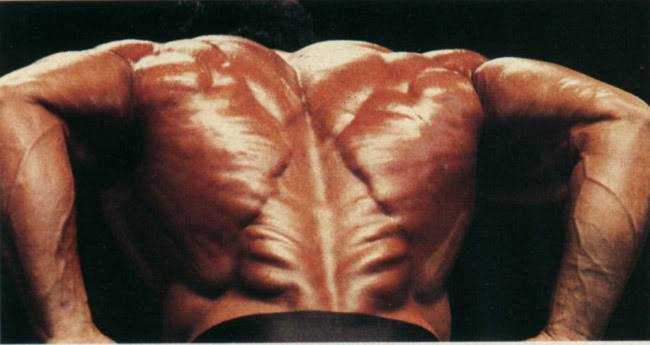 2013 Bodybuilding Images