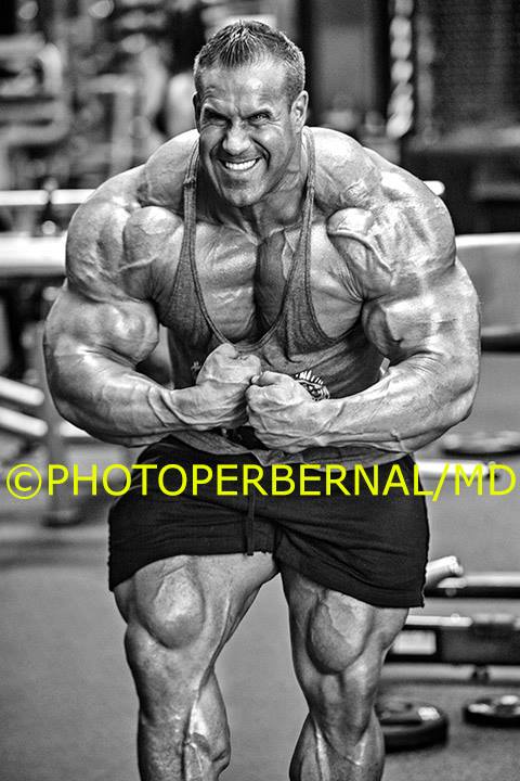 2013 Bodybuilding Images