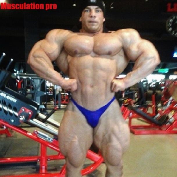 2013 Bodybuilding Images