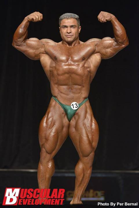 2013 Bodybuilding Images