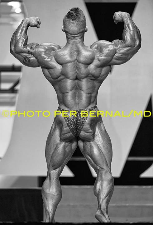 2013 Bodybuilding Images