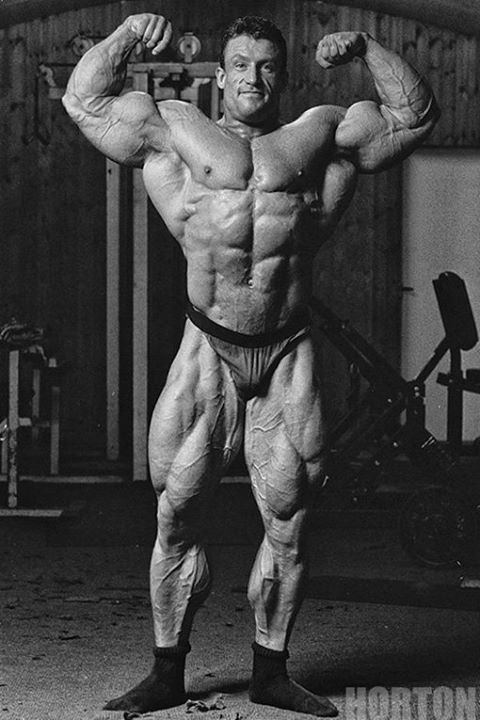 2013 Bodybuilding Images