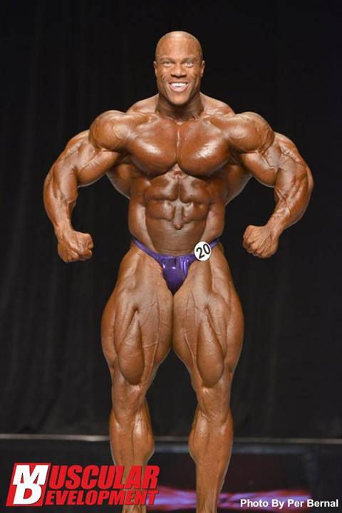 2013 Bodybuilding Images