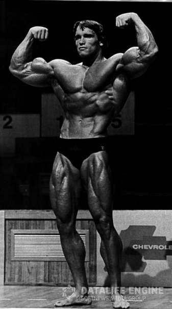 2013 Bodybuilding Images