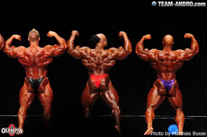 2013 Bodybuilding Images