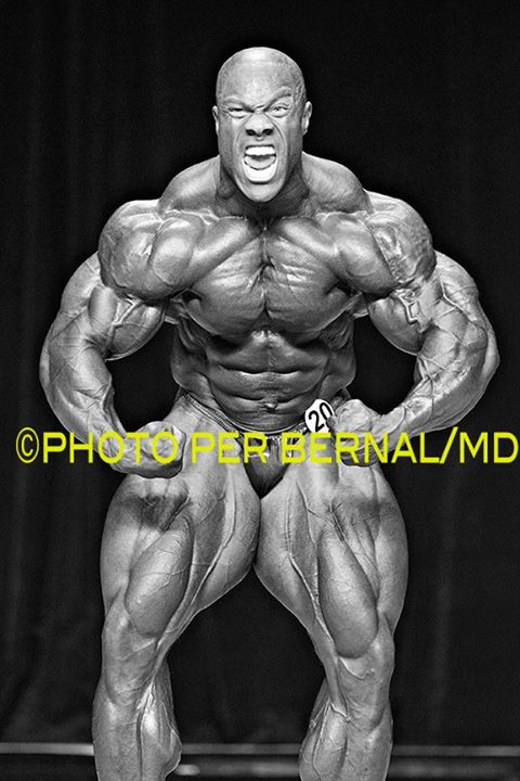 2013 Bodybuilding Images