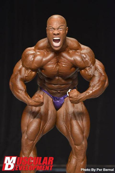 2013 Bodybuilding Images