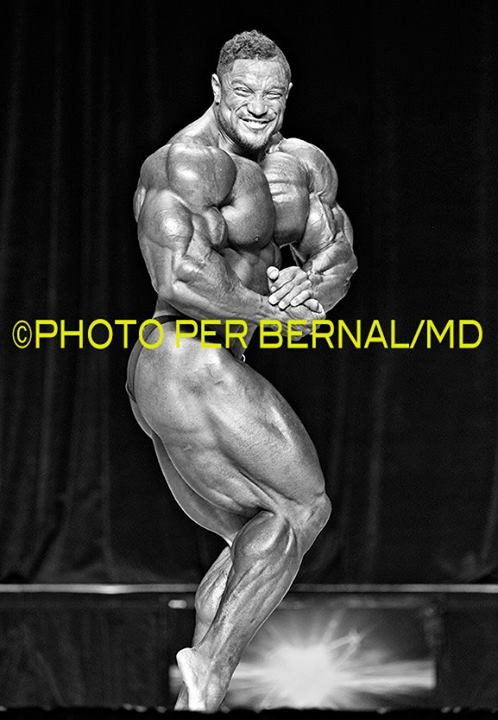 2013 Bodybuilding Images