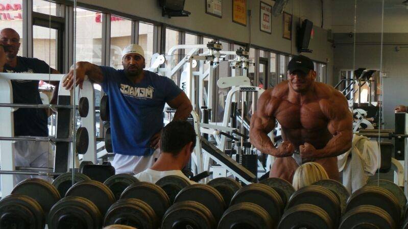 2013 Bodybuilding Images