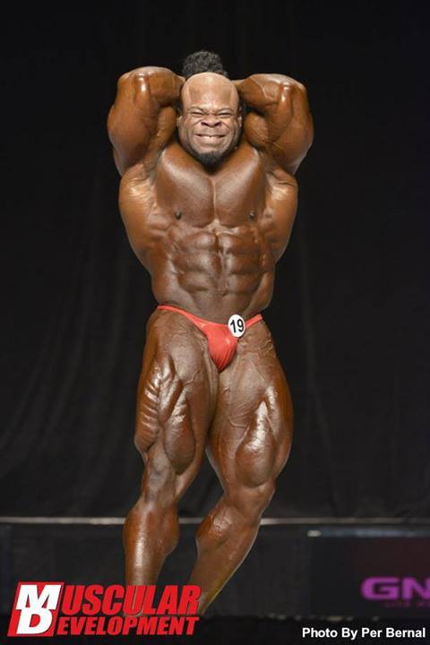 2013 Bodybuilding Images