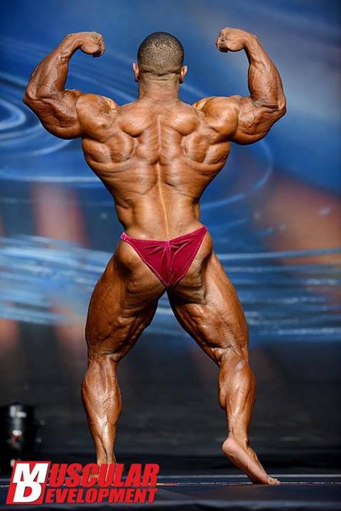 2013 Bodybuilding Images