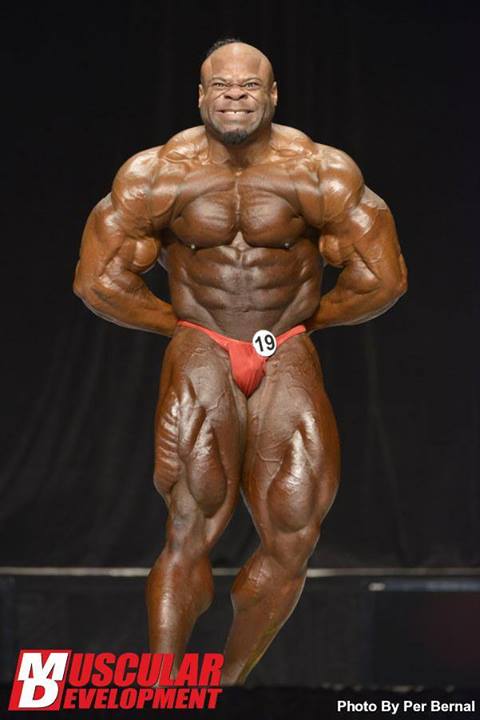 2013 Bodybuilding Images