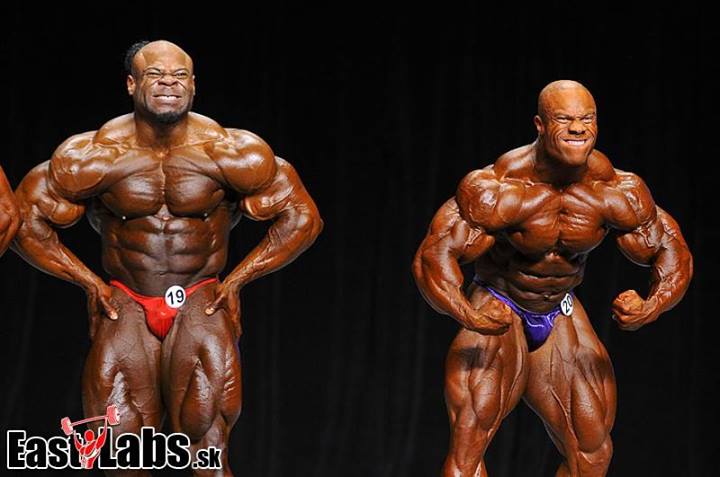 2013 Bodybuilding Images