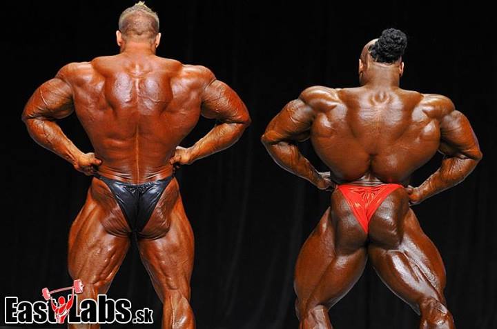 2013 Bodybuilding Images