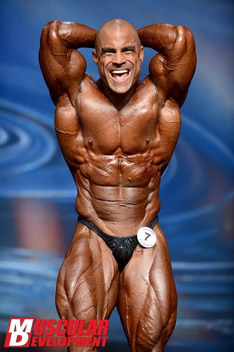 2013 Bodybuilding Images