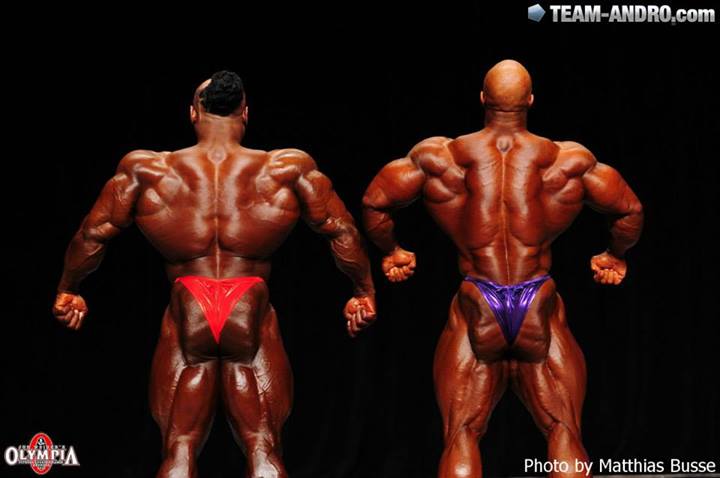 2013 Bodybuilding Images