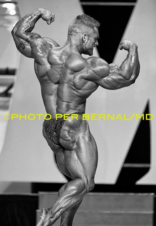 2013 Bodybuilding Images