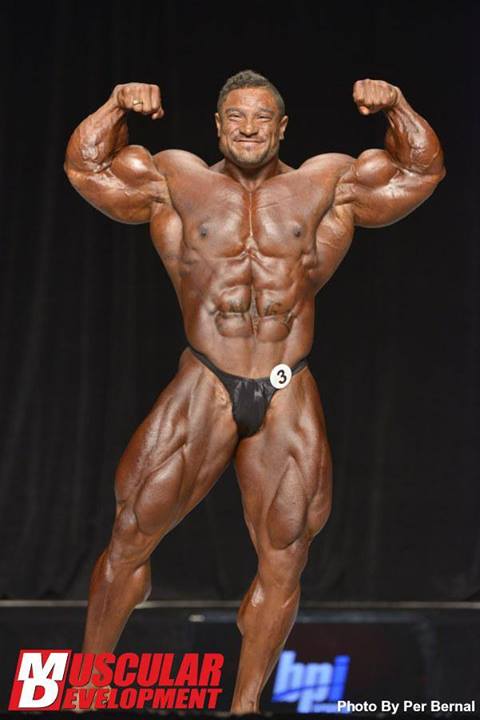 2013 Bodybuilding Images