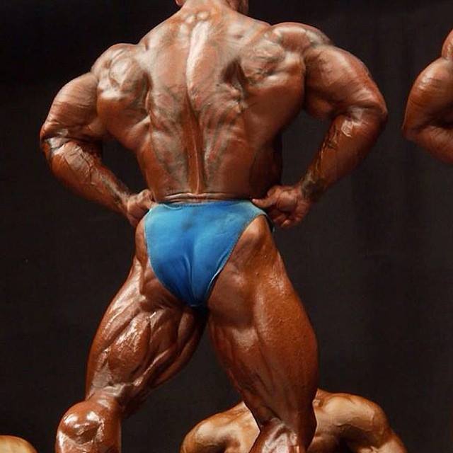 2013 Bodybuilding Images