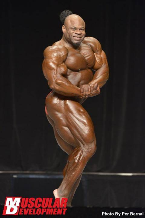 2013 Bodybuilding Images