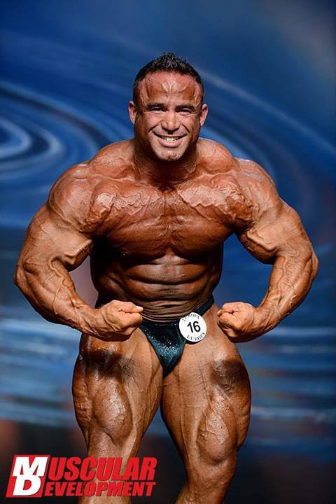 2013 Bodybuilding Images