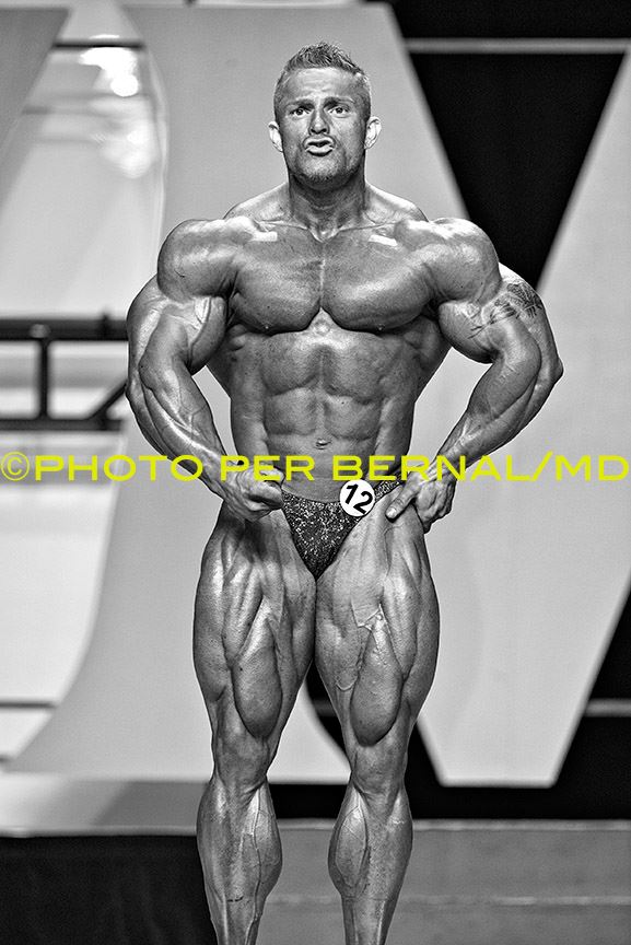 2013 Bodybuilding Images