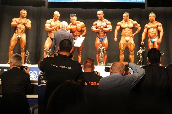 2013 Bodybuilding Images