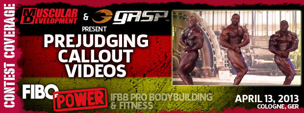 2013 Bodybuilding Images