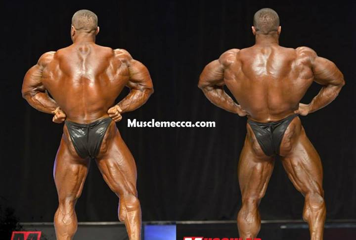 2013 Bodybuilding Images