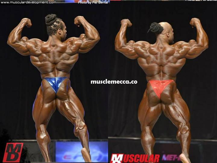 2013 Bodybuilding Images