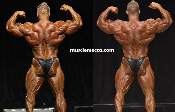 2013 Bodybuilding Images