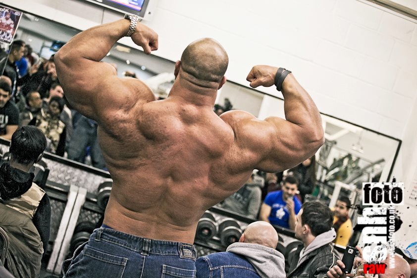 2013 Bodybuilding Images