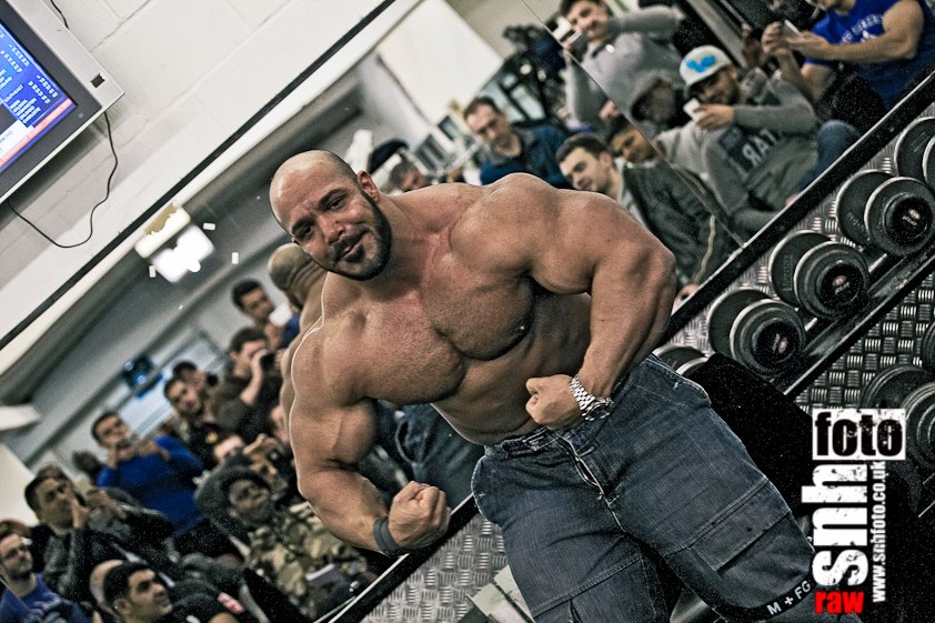 2013 Bodybuilding Images