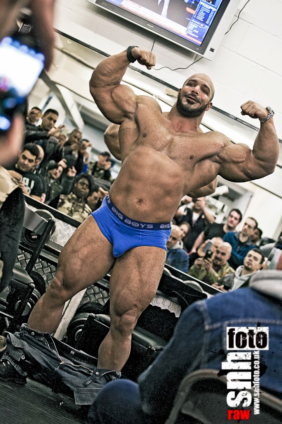 2013 Bodybuilding Images